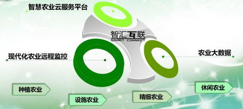 論軟件企業(yè)如何轉(zhuǎn)型智慧農(nóng)業(yè)信息咨詢服務